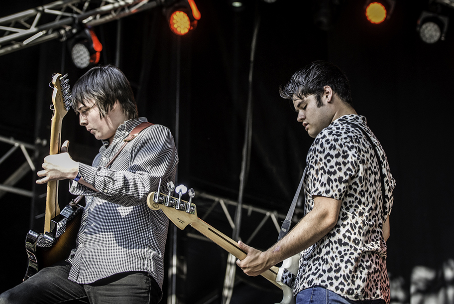 the wombats